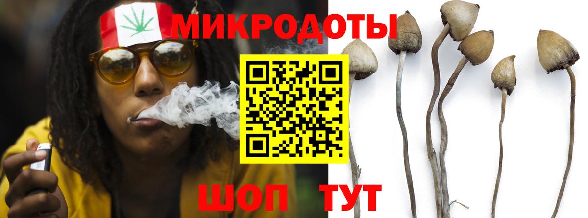 Псилоцибиновые грибы мухоморы  где купить наркотик  Котовск  Псилоцибиновые грибы Psilocybe  Вход с VPN 